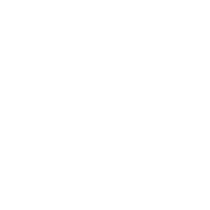 Fortune Trading Company